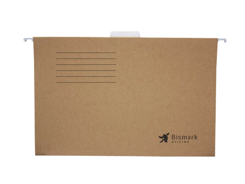 3 - CARPETA COLGANTE  - 1 UNIDAD