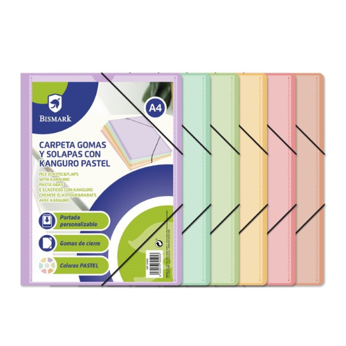 4.7 - CARPETA GOMAS Y SOLAPA BISMARK PASTEL